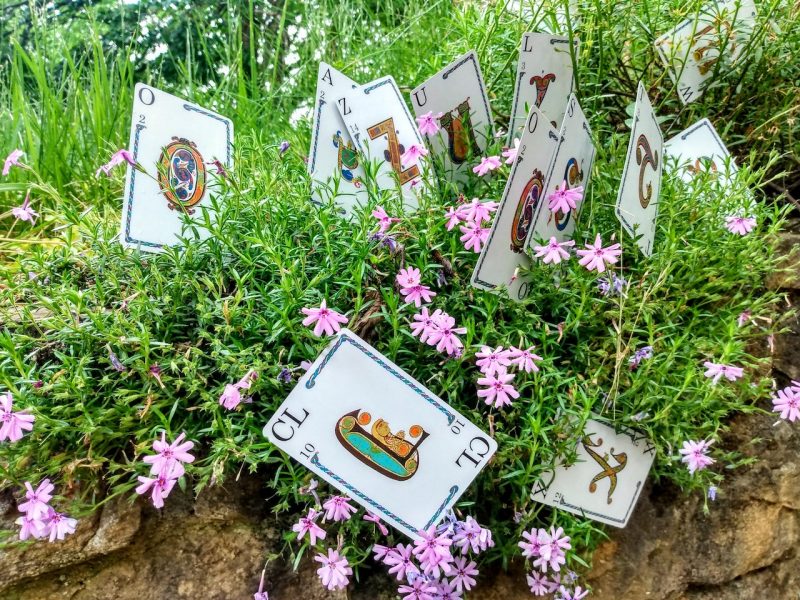 a random batch of playing cards with ornate letters scattered atop a green brushy plant with lavendar flowers
