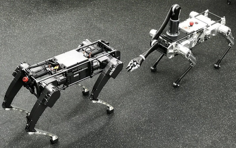 two four-legged robots facing each other